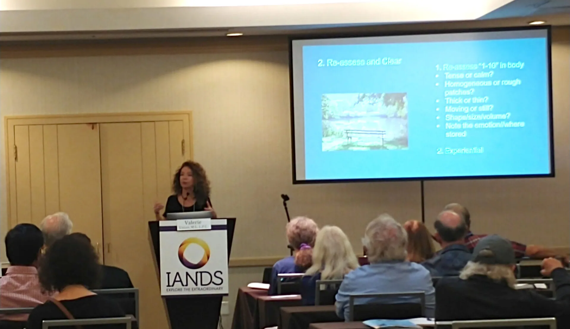 Woman speaking at podium with IANDS logo to audience seated in auditorium with presentation slide displayed on screen