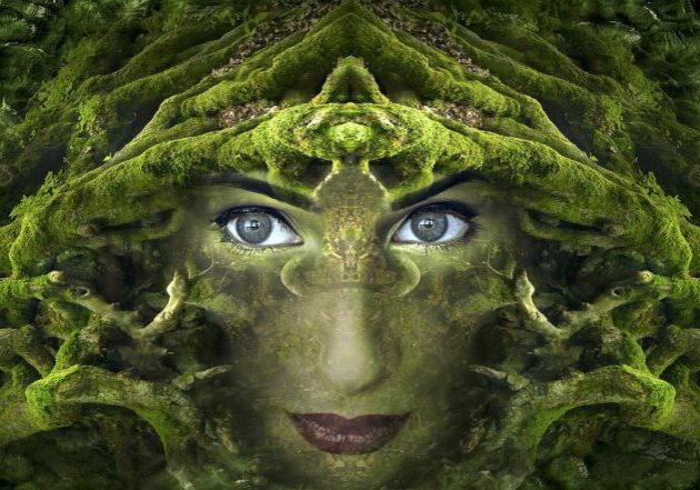 fantasy-2824500_1920